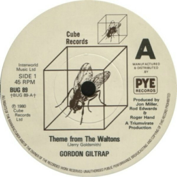 Gordon Giltrap - Theme From The Waltons (7") 976