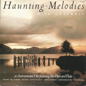 Electric Wind Ensemble - Haunting Melodies (LP) 11276