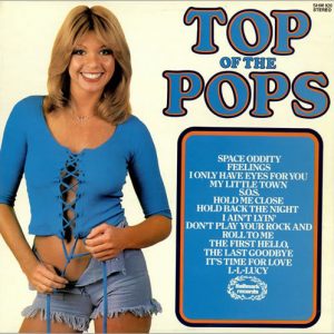 The Top Of The Poppers - Top Of The Pops Vol. 48 (LP) 14890