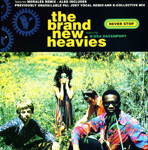 The Brand New Heavies Featuring N'Dea Davenport - Never Stop (12") 19172