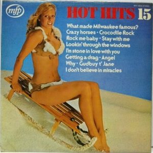 Hot Hits 15 Vinyl LP (LP Record)