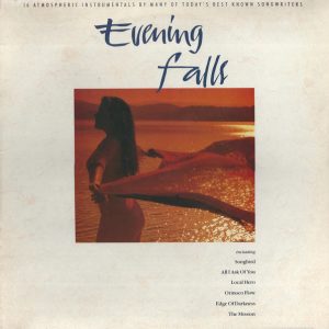 Richard Harvey And Friends - Evening Falls Vinyl LP Album (LP Record)