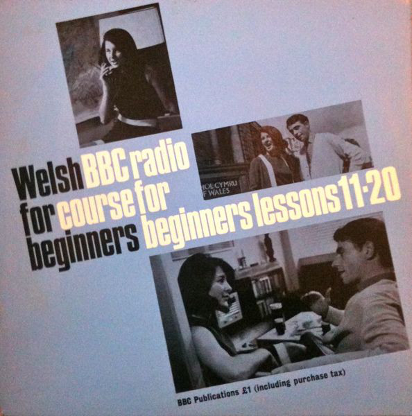 No Artist - Welsh For Beginners 2 Vinyl LP (LP Record)