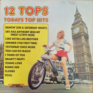 12 Tops - Todays Top Hits Vinyl LP (LP Record)