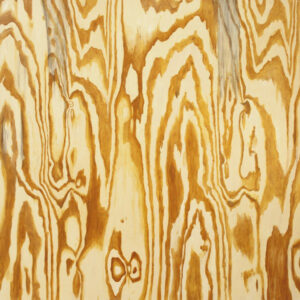 Mazes - Wooden Aquarium Vinyl LP Album (LP Record)