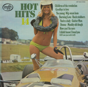 Hot Hits 14 Vinyl LP (LP Record)