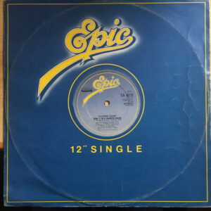 Yvonne Gage - Doin' It In A Haunted House 12 Inch Vinyl (12 Inch Record Single)