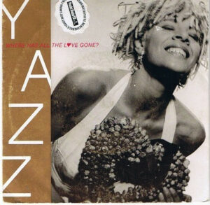 Yazz - Where Has All The Love Gone? 7 Inch Vinyl Single (7 Inch Vinyl Record)