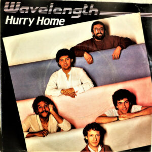 Wavelength - Hurry Home 7 Inch Vinyl Single (7 Inch Record, Single)