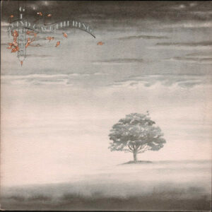 Genesis - Wind and Wuthering Vinyl LP (LP Record, Album, Texture Cover)