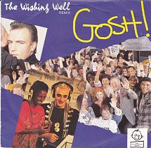 G.O.S.H. - The Wishing Well (Remix) 7 Inch Vinyl Single (7 Inch Record) (45 Record)