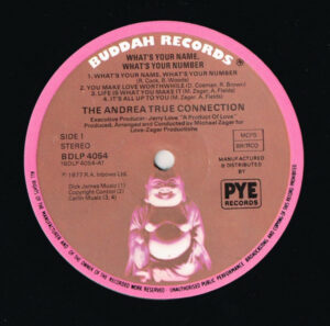 The Andrea True Connection - What's Your Name, What's Your Number Vinyl LP (LP Record, Album)