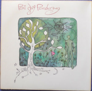Poi Dog Pondering - Poi Dog Pondering Vinyl LP (LP Record, Album)