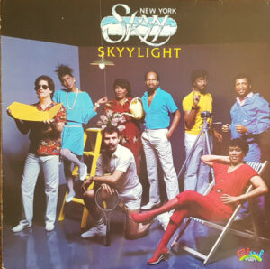 New York Skyy - Skyylight Vinyl LP (LP Record, Album)