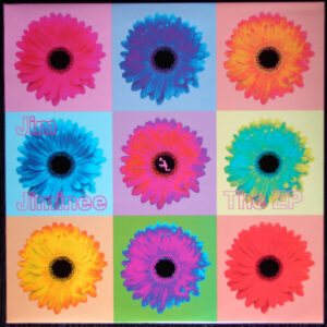 Jim Jiminee - The EP 12 Inch (12 Inch Record, EP, Compilation)