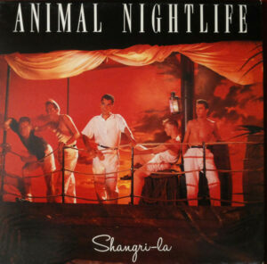 Animal Nightlife - Shangri-La Vinyl LP (LP Record, Album)