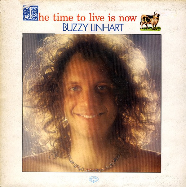 Buzzy Linhart - The Time To Live Is Now Vinyl LP (LP Record, Album)
