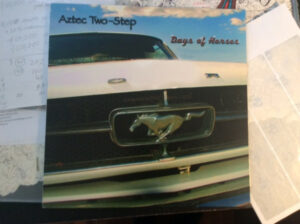 Aztec Two-Step - Days of Horses Vinyl LP (LP Record)