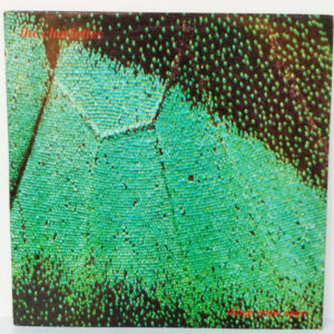The Charlottes - Things Come Apart Vinyl LP (LP Record, Album)