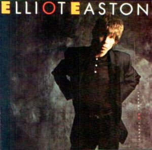 Elliot Easton - Change No Change Vinyl LP (LP Record, Album)