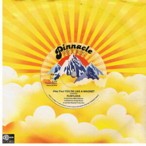 Flintlock - (Hey You) You're Like A Magnet 7 Inch Vinyl Single (7 Inch Record)