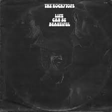 the Rockytops - Life Can Be Beautiful Vinyl LP (LP Record)