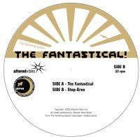 The Vanishing System - The Fantastical/Step-Gruv 10 Inch Vinyl Single (10 Inch Record)