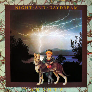 Ananta - Night And Daydream Vinyl LP (LP Record, Album, Promo)