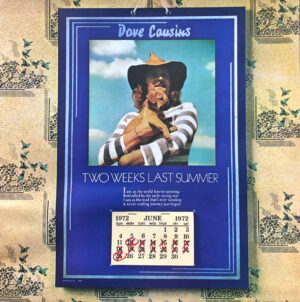 Dave Cousins Two Weeks Last Summer Vintage Record Cover For Sale
