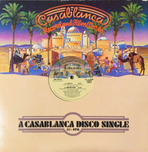 Village People - Y.M.C.A. / Macho Man 12 Inch Vinyl Single (12 Inch Record)