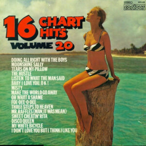 16 Chart Hits Volume 20 Vinyl LP (LP Record)