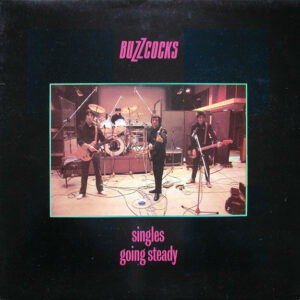 Buzzcocks - Singles Going Steady Vinyl LP (LP Record, Compilation)