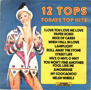 12 Tops Todays Top Hits Vinyl LP (LP Record)