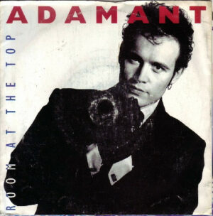Adam Ant - Room At The Top 12 Inch Vinyl Single (12 Inch Record)