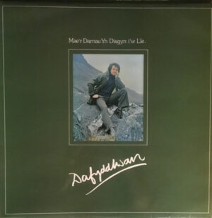Dafydd Iwan - Mae'r Darnau Yn Disgyn I'w Lle Vinyl LP (LP Record, Album)