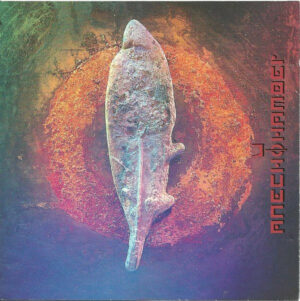AneChoiChamber - The Blood Of The Flower Vinyl LP (LP Record, Album)