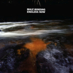 Male Bonding - Endless Now Vinyl LP (LP Record, Album)