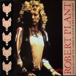 Robert Plant - Your Ma Said You Cried In Your Sleep Last Night 12 Inch Vinyl Single (12 Inch Record)