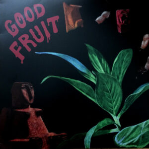 Teen - Good Fruit Vinyl LP (LP Record, Album)
