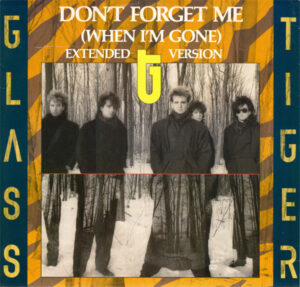 Glass Tiger - Don't Forget Me (When I'm Gone) (Extended Version) 12 Inch Vinyl Single (12 Inch Record)