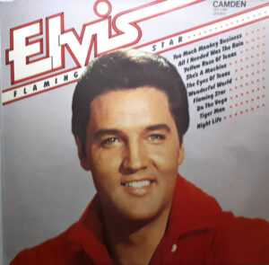 Elvis - Flaming Star Vinyl LP (LP Record, Album, Compilation)