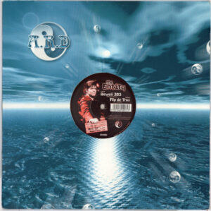 The Entity - Hawaii 303 12 Inch Vinyl Single (12 Inch Record)