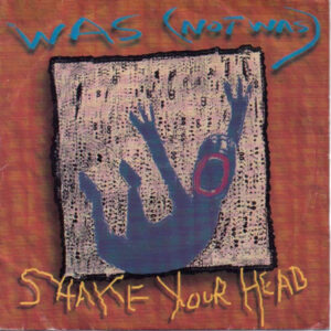 Was (Not Was) - Shake Your Head 7 Inch Vinyl Single (7 Inch Record)