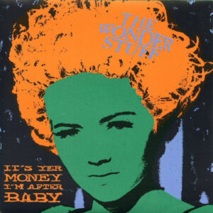 The Wonder Stuff - It's Yer Money I'm After, Baby 7 Inch Vinyl Single (7 Inch Record)