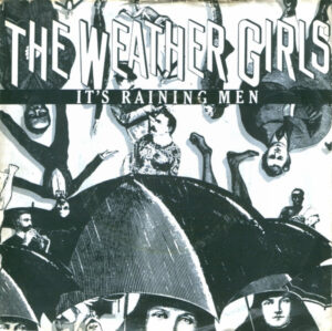 The Weather Girls - It's Raining Men 7 Inch Vinyl Single (7 Inch Record)