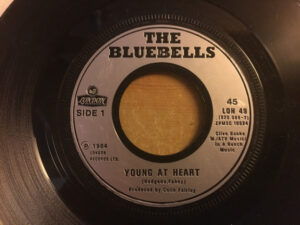The Bluebells - Young At Heart 7 Inch Vinyl Single (7 Inch Record)