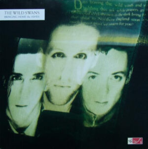 The Wild Swans - Bringing Home The Ashes Vinyl LP (LP Record, Album)