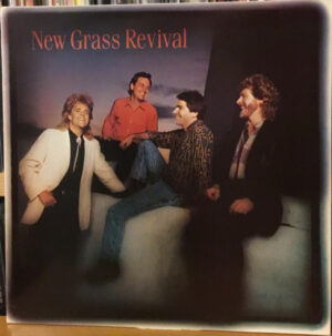 New Grass Revival - Hold To A Dream Vinyl LP (LP Record, Album)