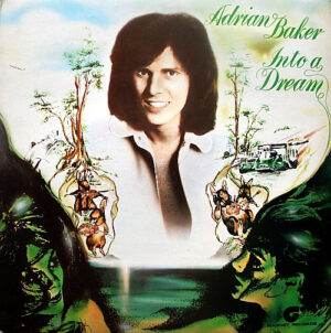 Adrian Baker - Into A Dream Vinyl LP (LP Record)