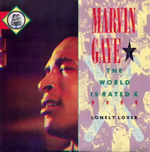 Marvin Gaye - The World Is Rated X 7 Inch Vinyl Single (7 Inch Record)